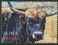 Les Aurochs.